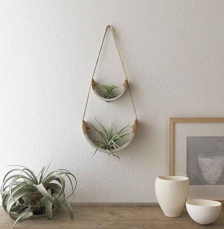 hanging air plant holder
