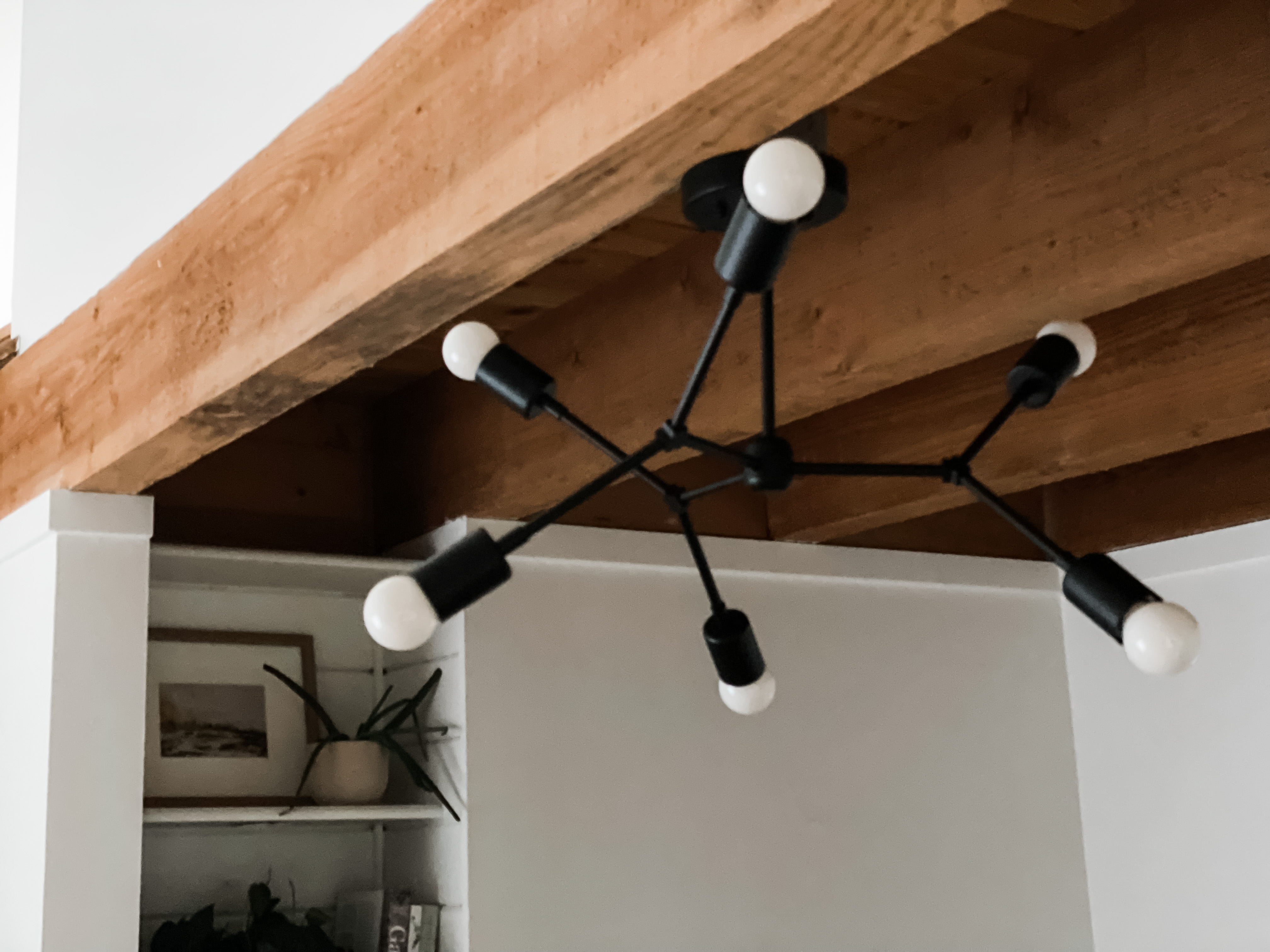 black sputnik light