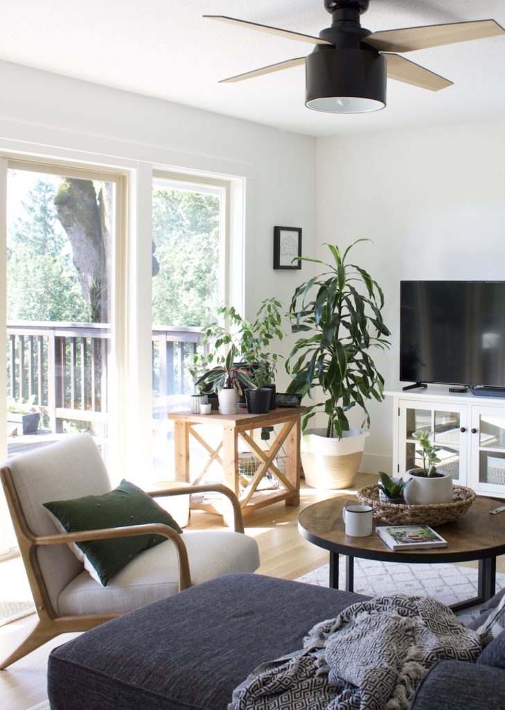 living room with easy indoor plants