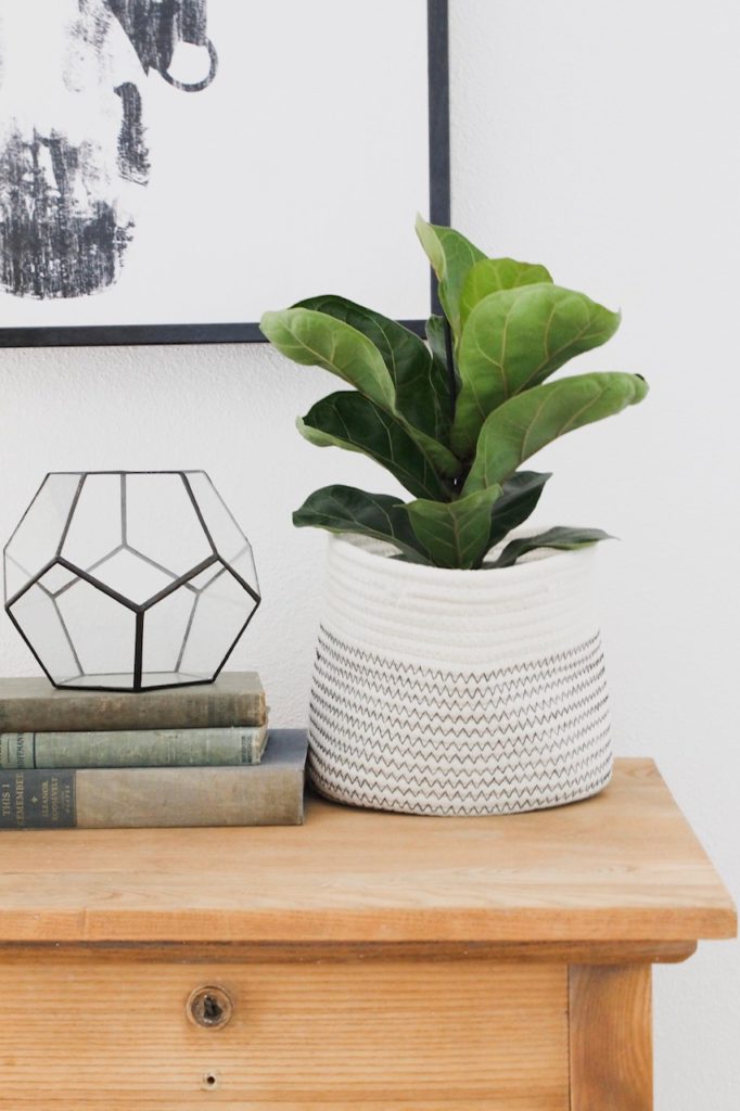 who has the best interior wall paint?
