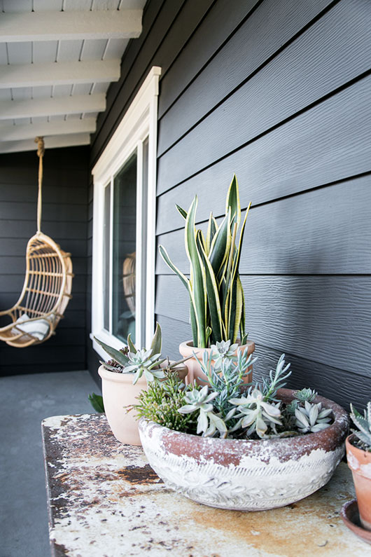 modern black house