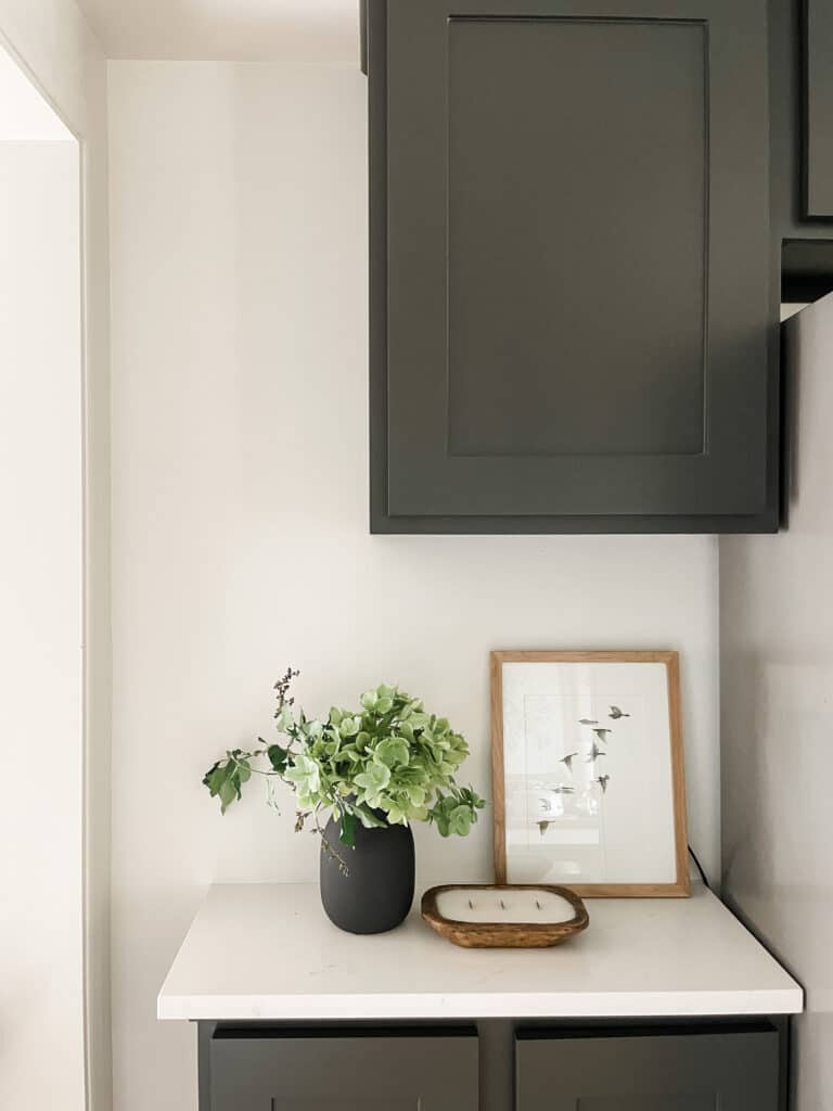 painted kitchen cabinets