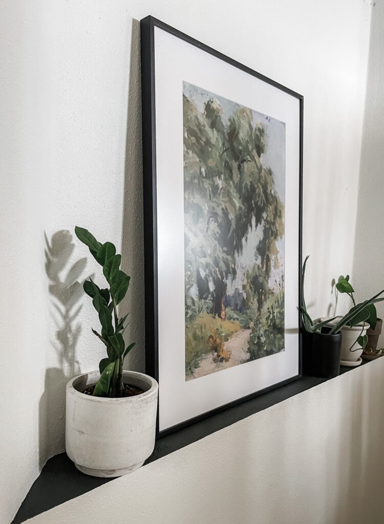 ledge with picture frame and plants