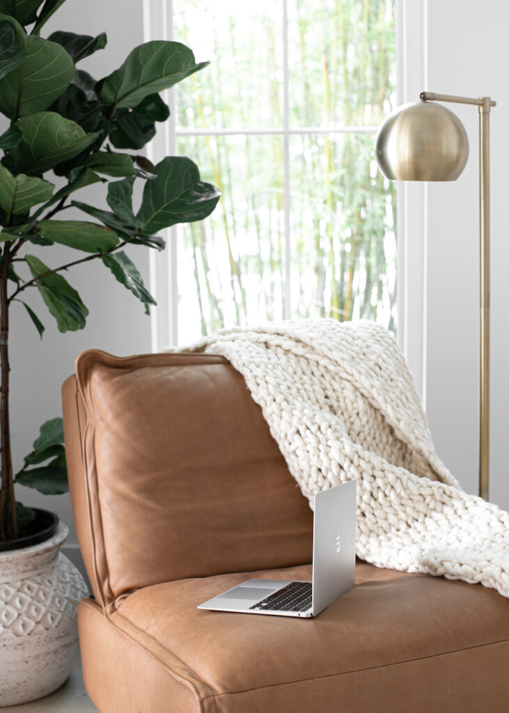 leather chair, plan, and blanket