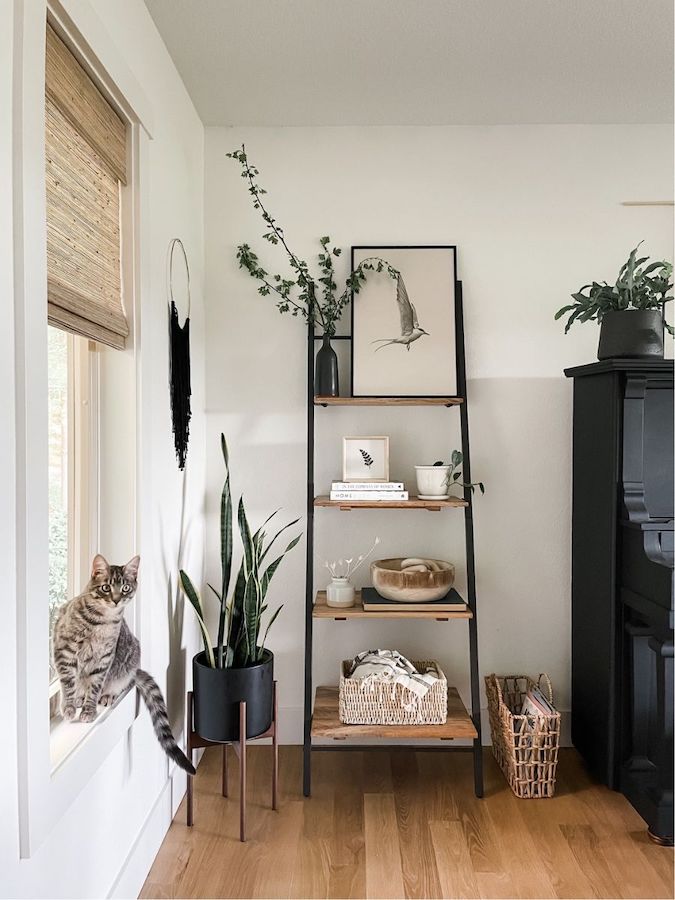 bookshelf with minimal decor
