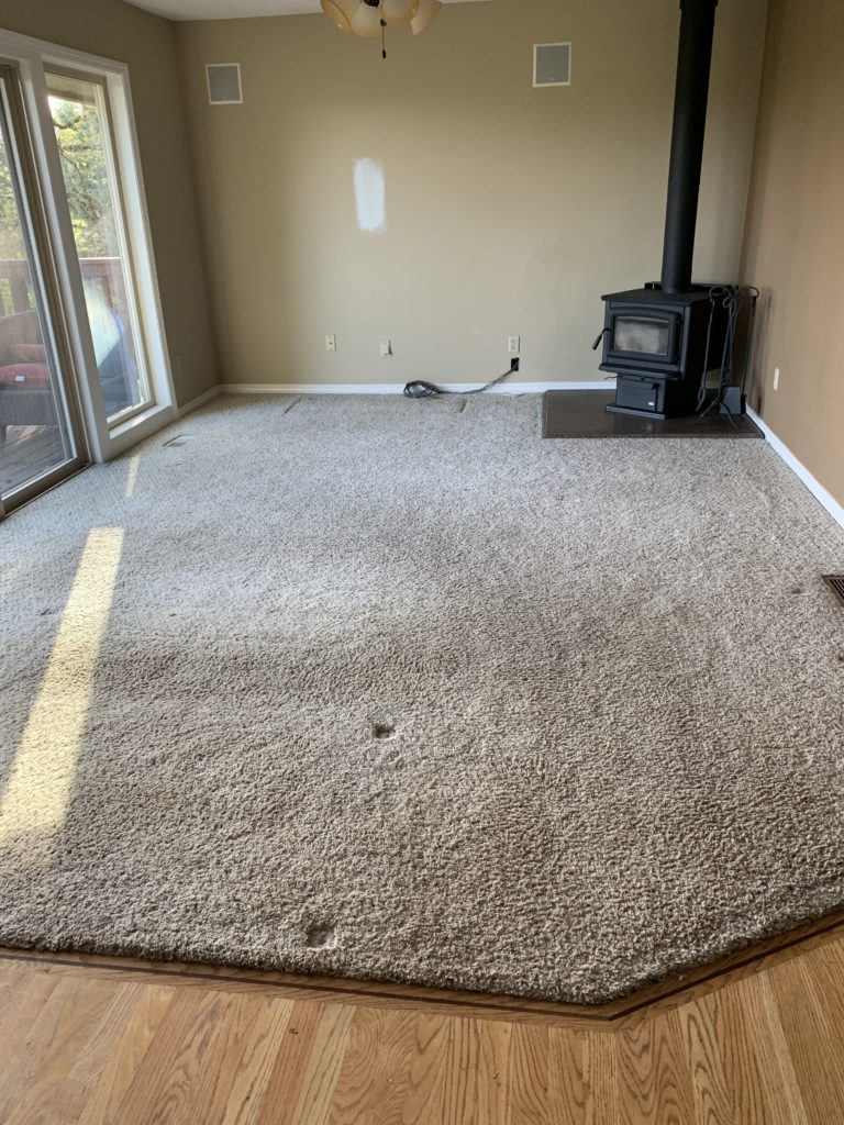 outdated family room prior to remodel