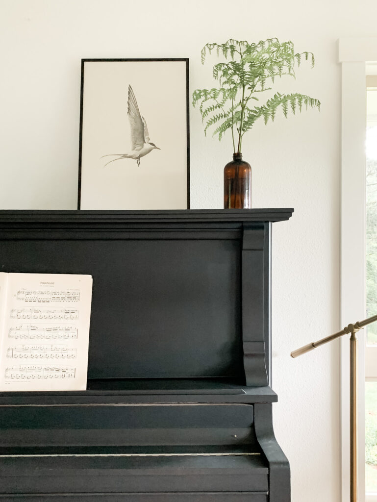 bird art print on black piano