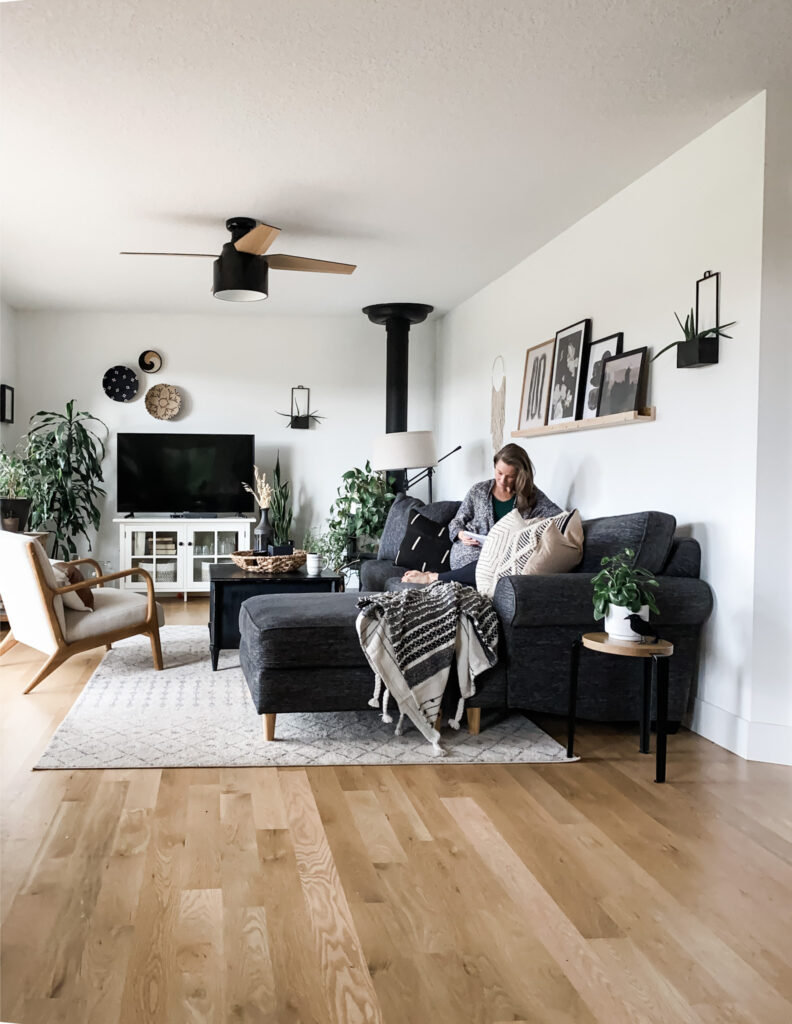 modern ceiling fan for the living room