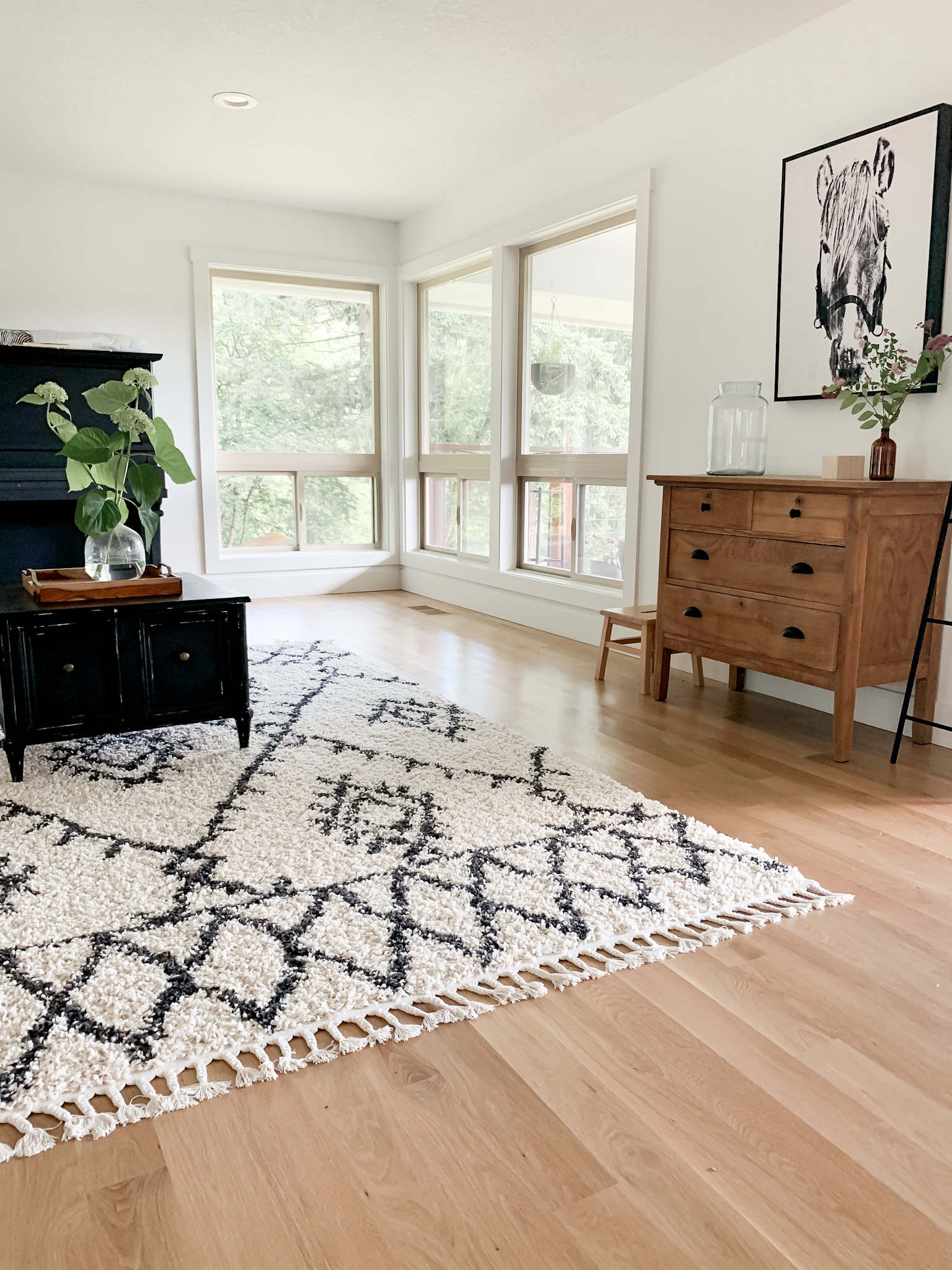 living room rug