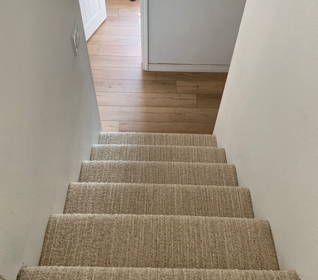 carpet stairs with luxury vinyl plank on basement floor