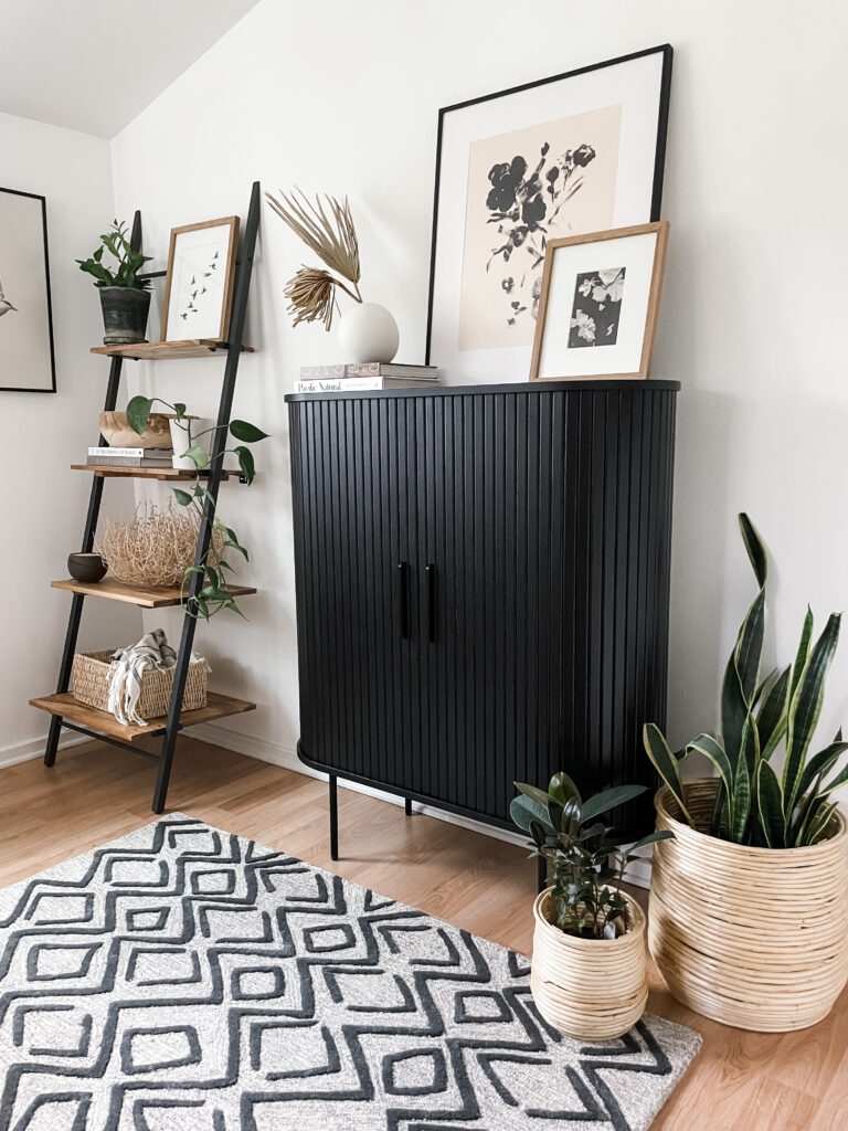 black cabinet, rug, and bookshelf