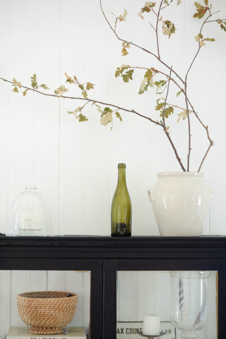 black cabinet with glass bottle and tree branch in vase