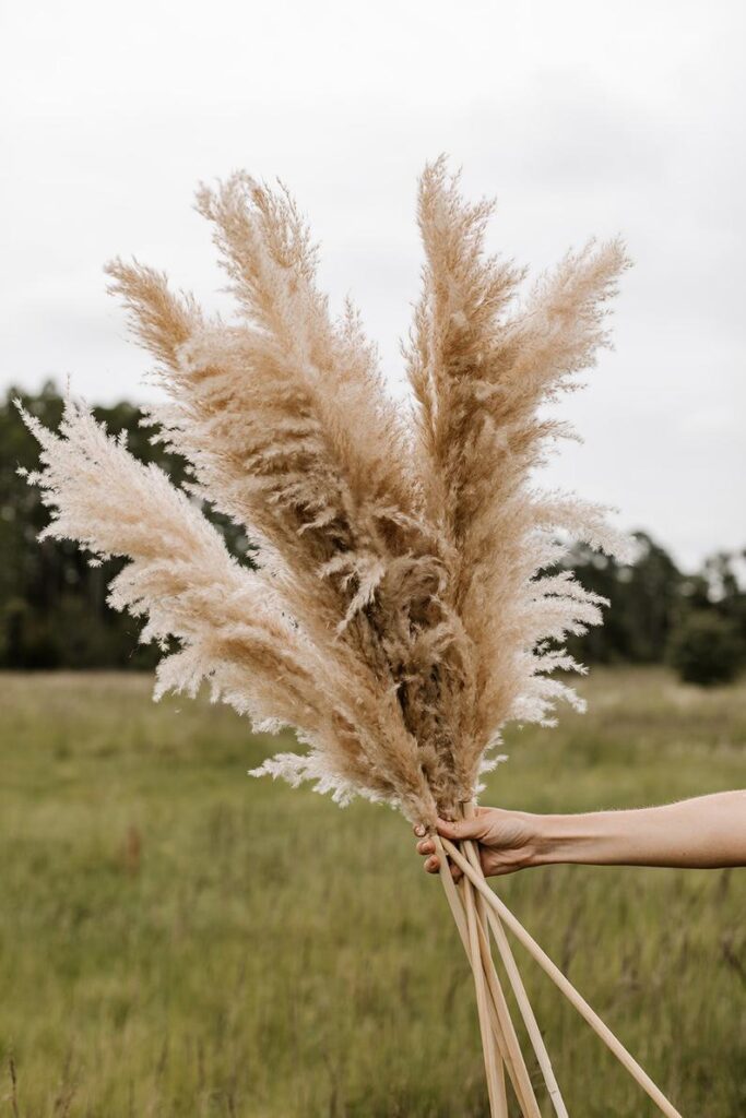 large pampas grass for autumn decor