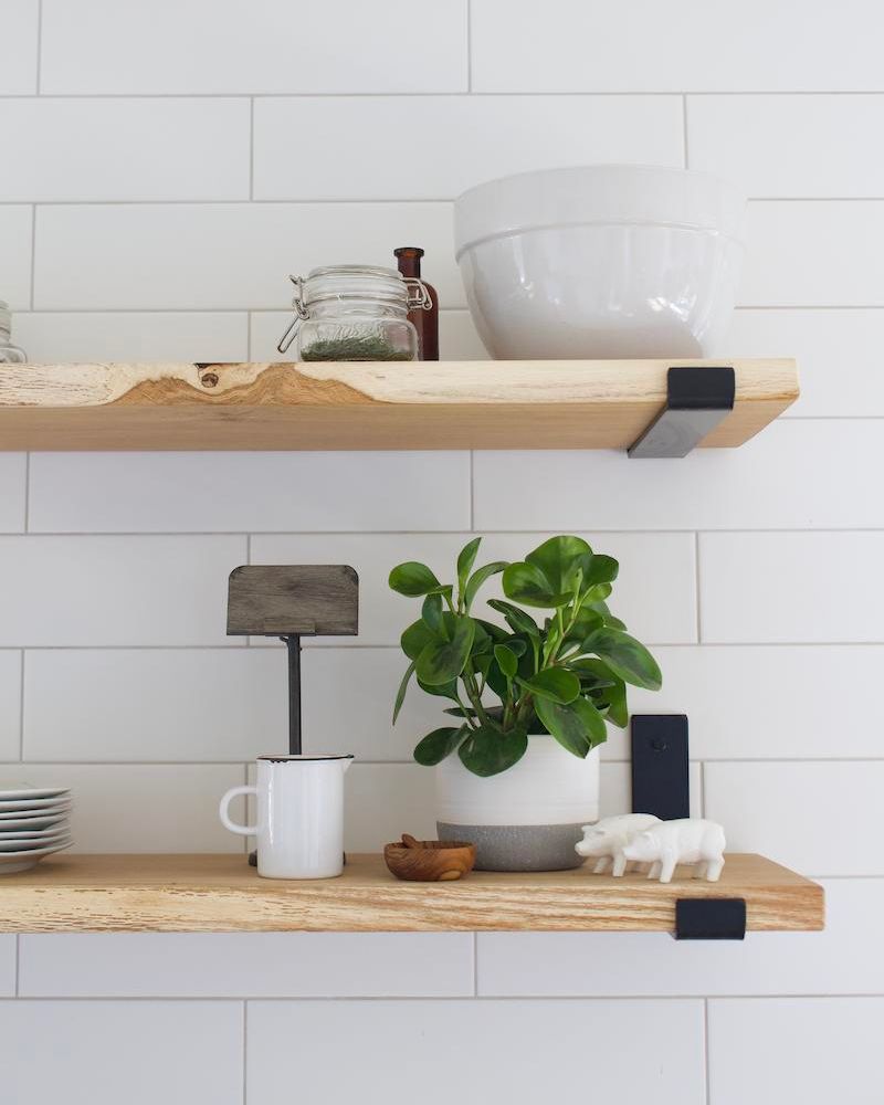 perperomia plant on shelf