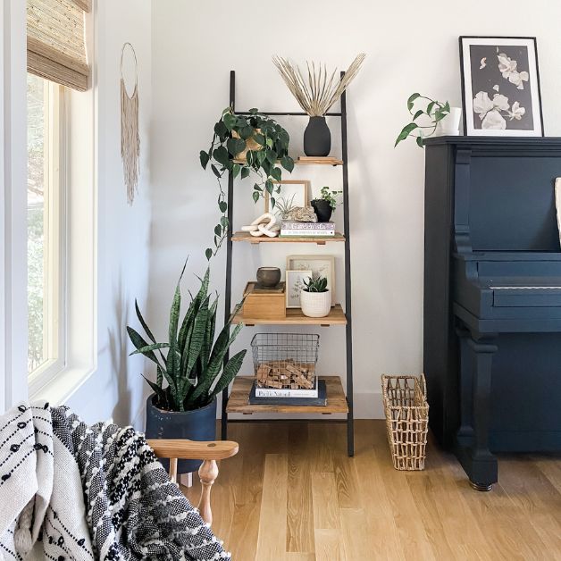 living room bookcase