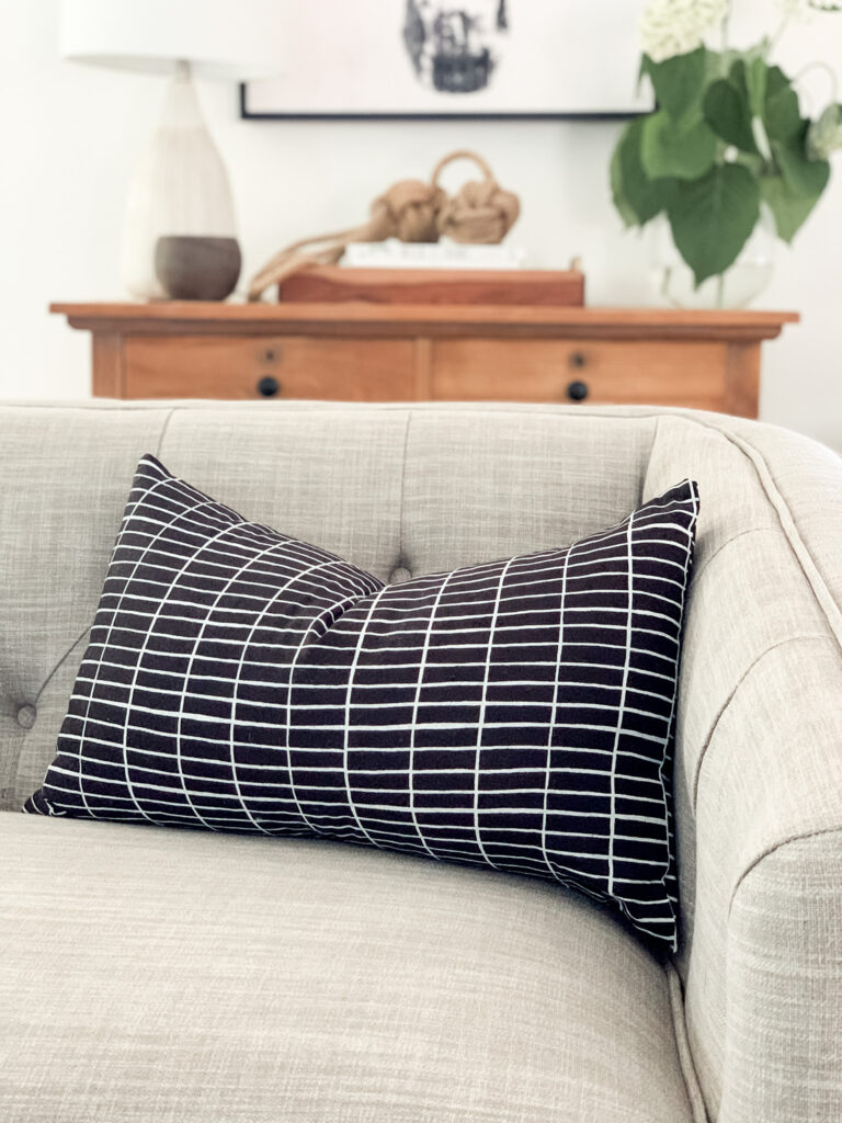 article alcott sofa and lumbar pillows