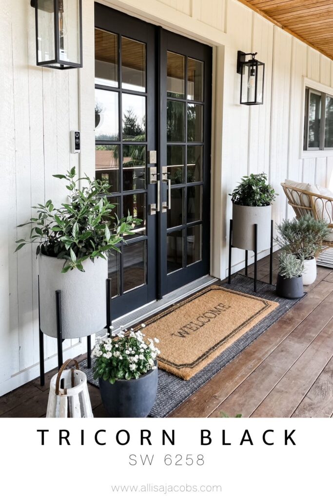 porch with front doors painted Tricorn Black