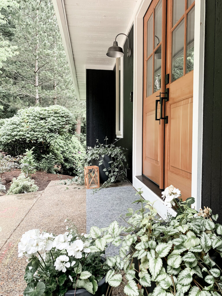 tricorn black house - perfect neutral black color