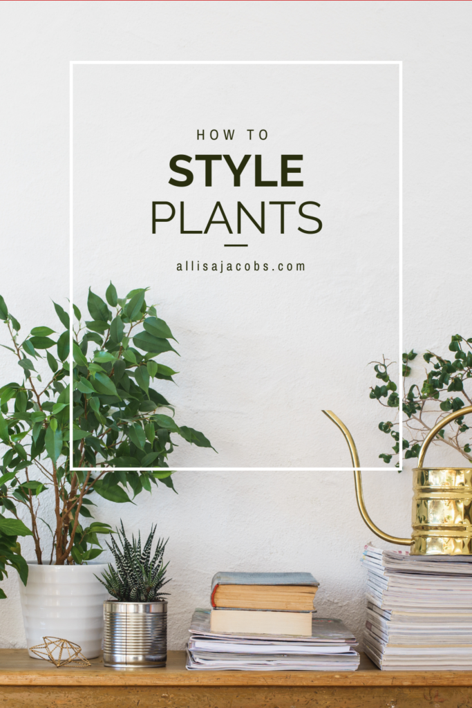 how to style house plants like a pro