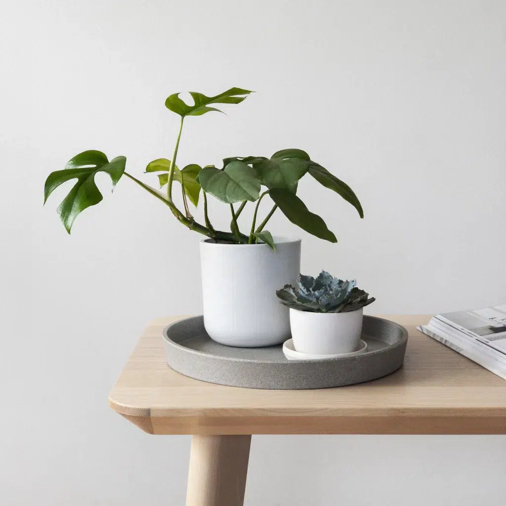 round coffee table tray gift idea