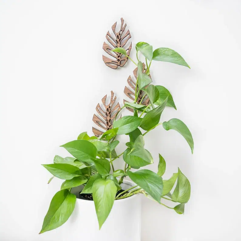 wall mounted wall trellis