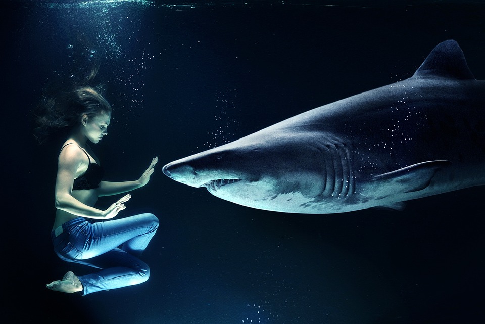 Photo Editing - the wonders of photo manipulation